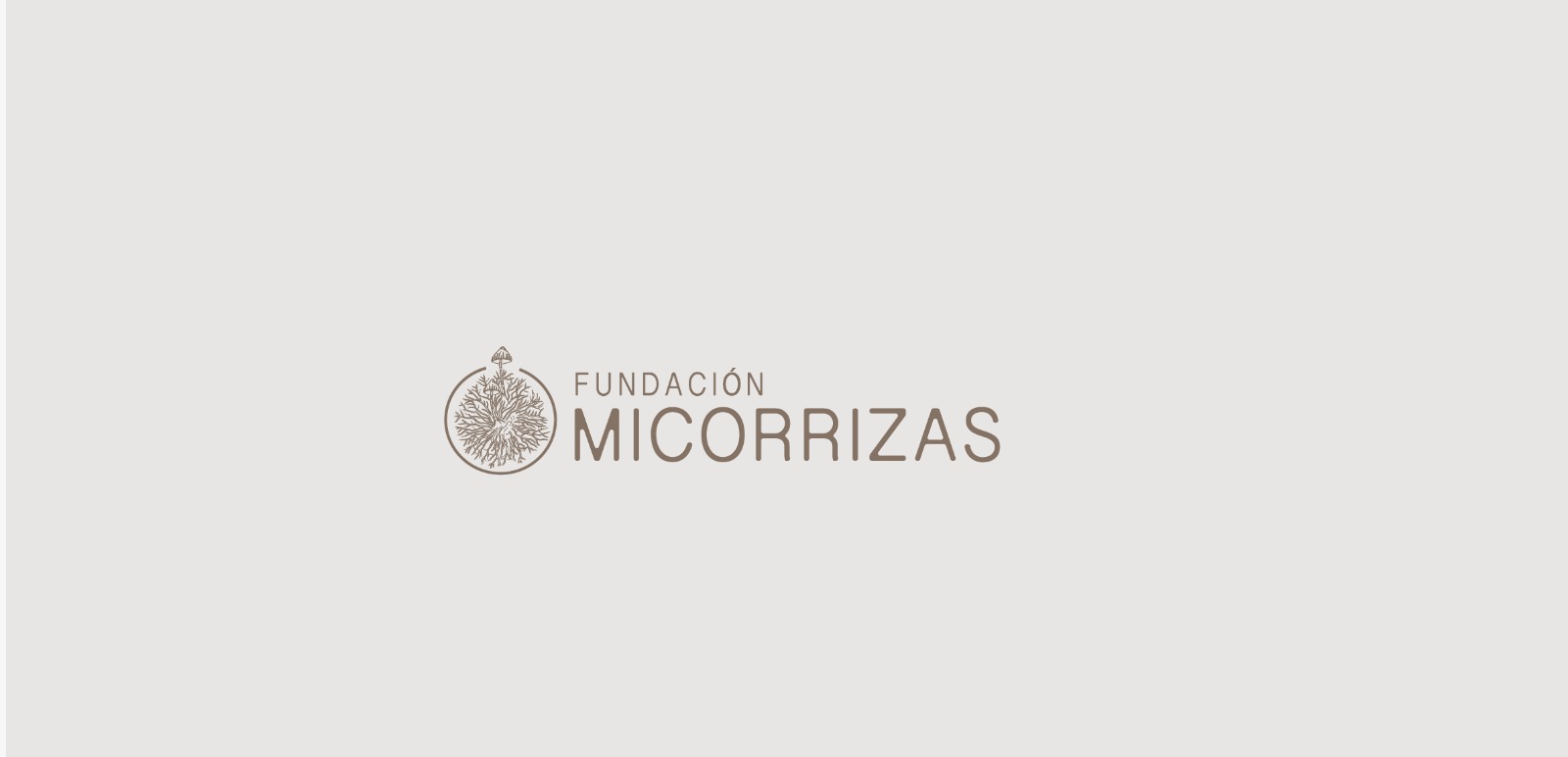 Micorrizas